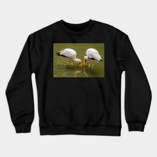 Yellow Billed Storks Crewneck Sweatshirt